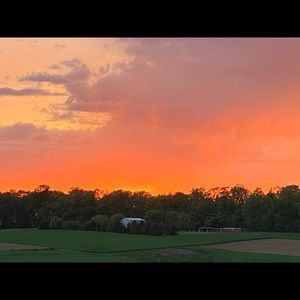 Meet your Posher, Robbie